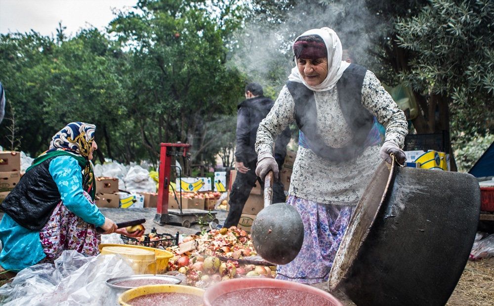 تصاویر : جشن انار در روستای انبوه