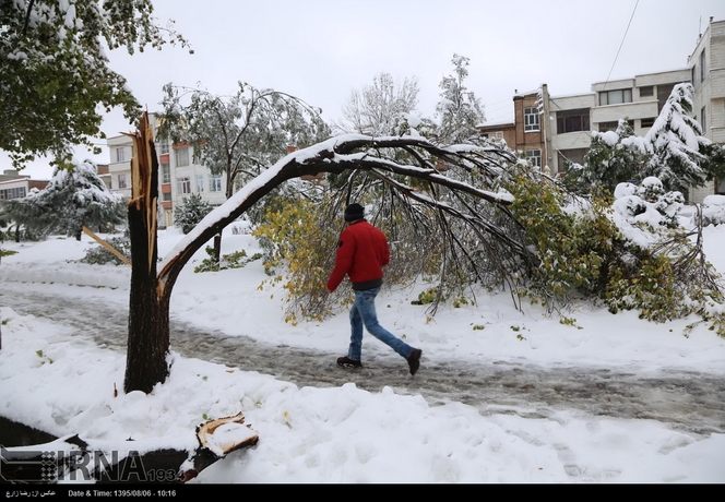 تصویر: خسارات ناشی از بارش شدید برف دراردبیل