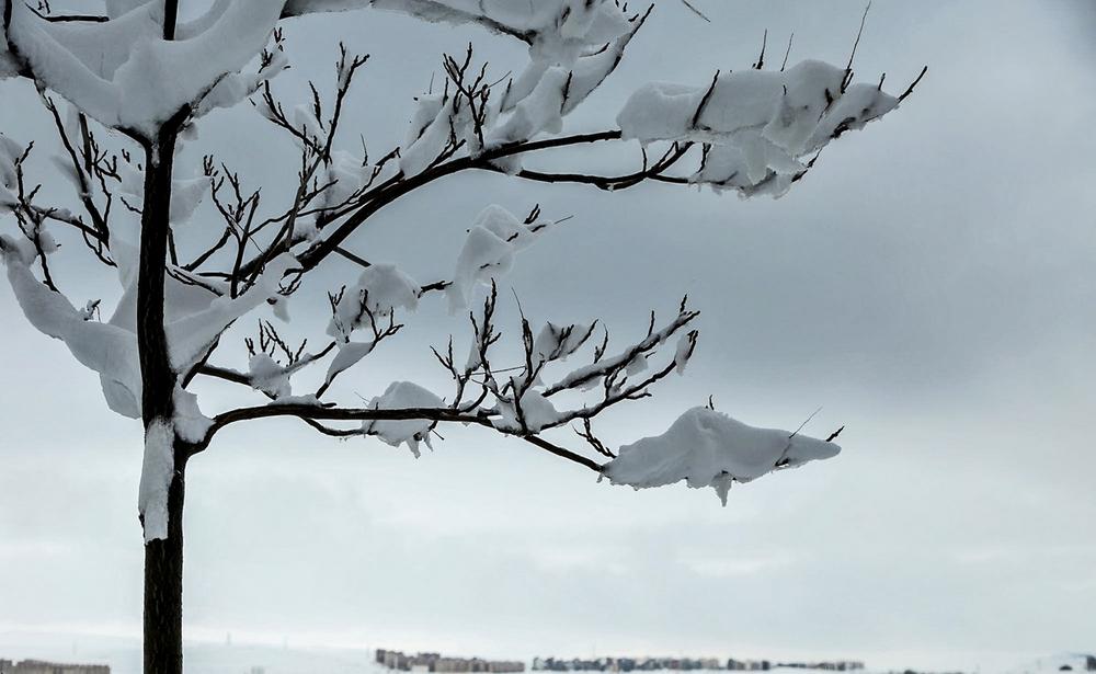 تصاویر : بارش نخستین برف پاییزی در اردبیل