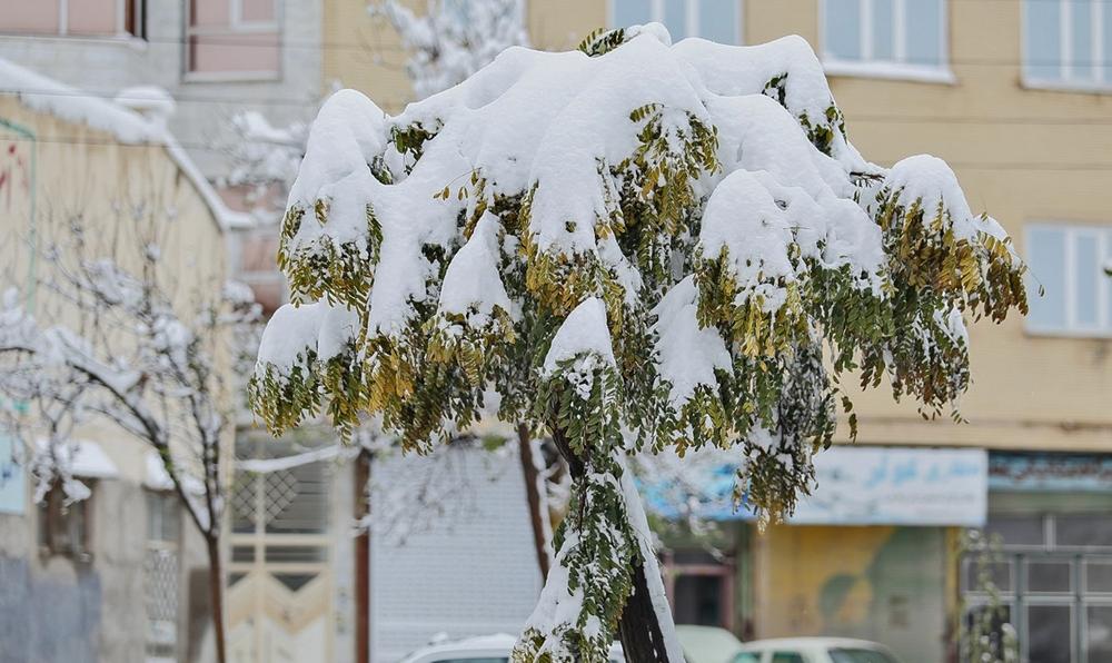 تصاویر : بارش نخستین برف پاییزی در اردبیل