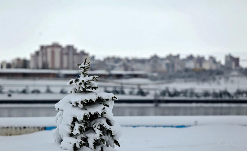 تصاویر : بارش نخستین برف پاییزی در اردبیل