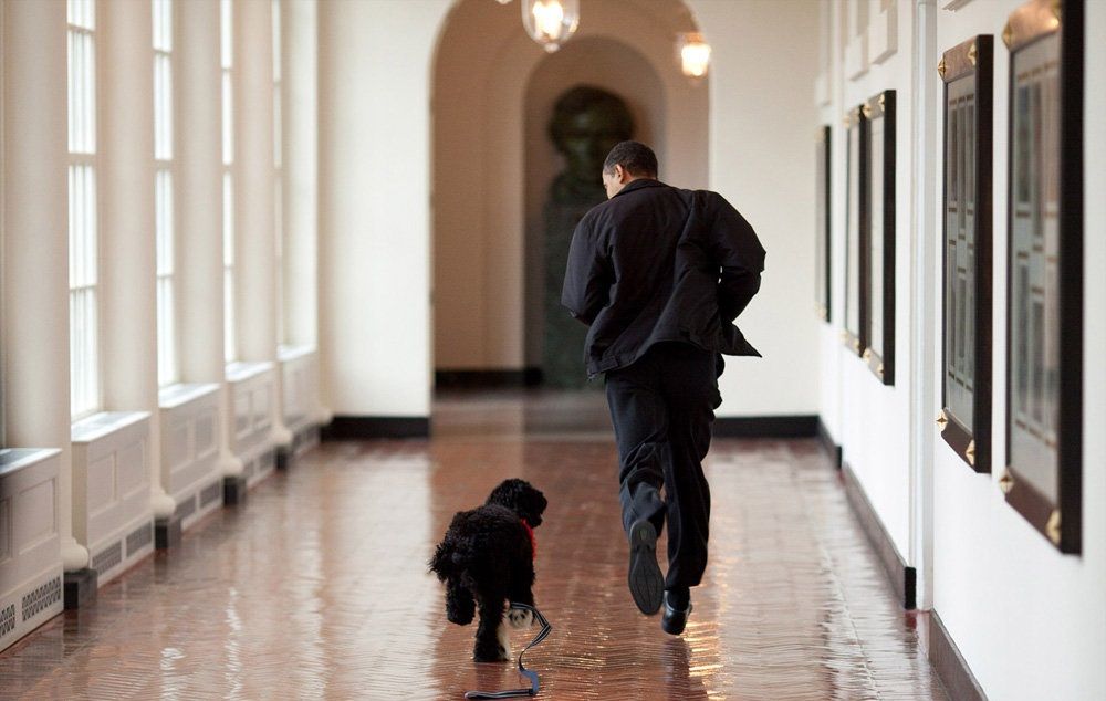 تصاویر : دوران ریاست جمهوری باراک اوباما