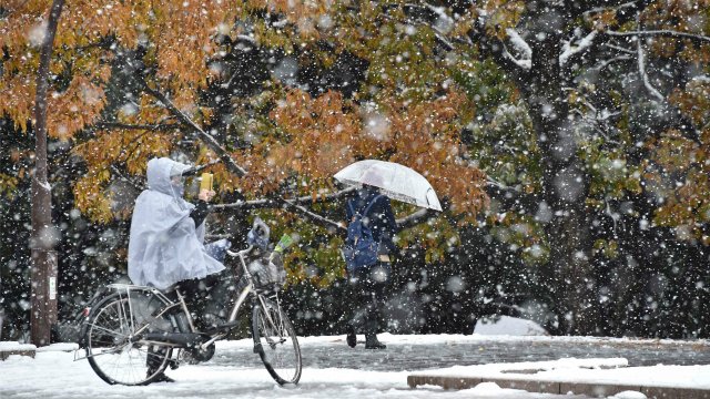 پس از ۵۴ سال در این ماه، در توکیو برف بارید