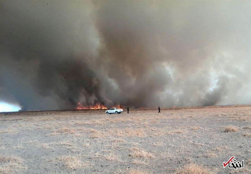 محیط زیست استان مرکزی: مهار آتش‌ تالاب میقان امکان‌پذیر نیست / درخواست بالگرد و هواپیما از تهران