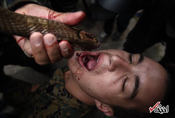 تصاویر : نوشیدن خون مار کبری توسط نظامیان ارتش آمریکا