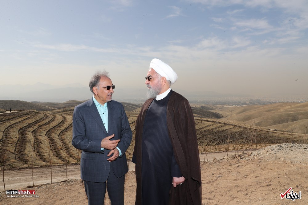 عکس/ غرس نهال توسط رییس جمهور روحانی