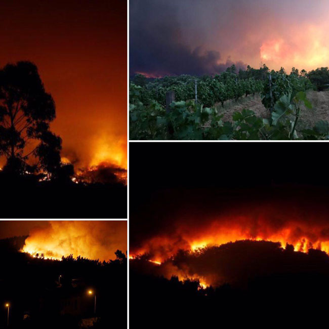 تصاویری از آتش سوزی گسترده در پرتغال