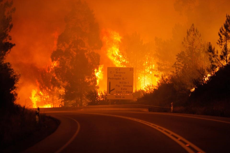 تصاویر : 57کشته و 59زخمی تاکنون در آتش‌سوزی مرگبار جنگل‌های پرتغال