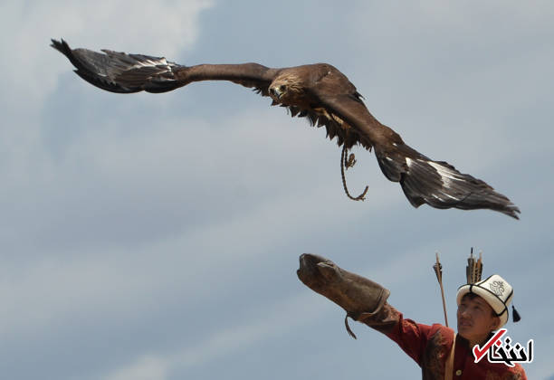 تصاویر : شکار با عقاب طلایی در قرقیزستان