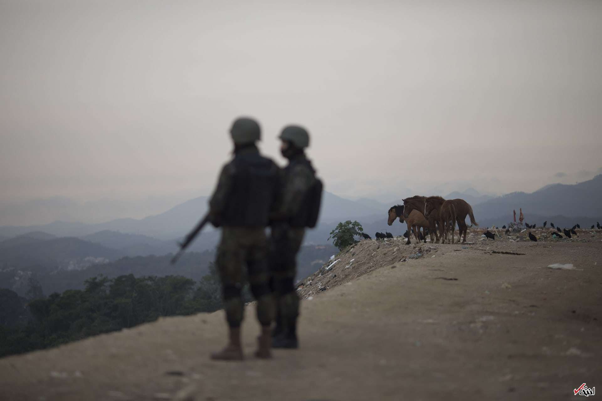 تصاویر: دیدنیهای امروز یکشنبه ۲۹ مردادماه تصاویر: دیدنیهای امروز یکشنبه ۲۹ مردادماه