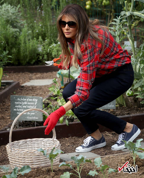 تصاویر : باغبانی بانوی اول آمریکا در کاخ سفید