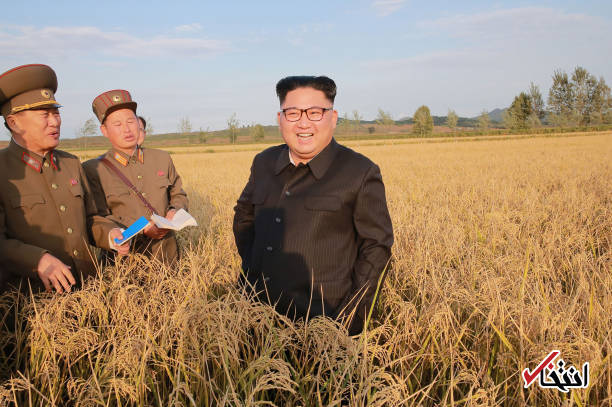 عکس/ رهبر کره شمالی در مزارع کشاورزی