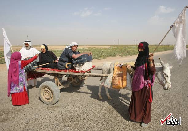 تصاویر : فرار یک خانواده از دست داعش با پرچم سفید