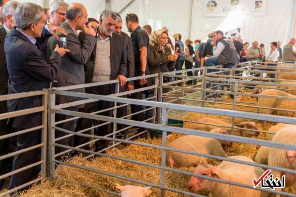 تصاویر : بازدید وزیر کشاورزی از نمایشگاه بین‌المللی دامداری فرانسه