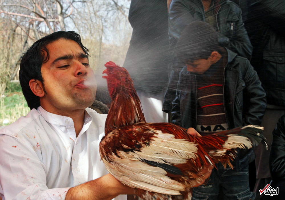 تصاویر : نگاهی به زندگی مردم افغانستان