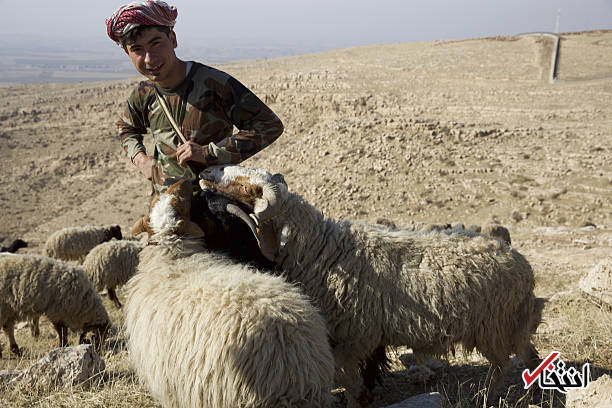 تصاویر : گشتی در اربیل مرکز اقلیم کردستان جدایی طلب عراق