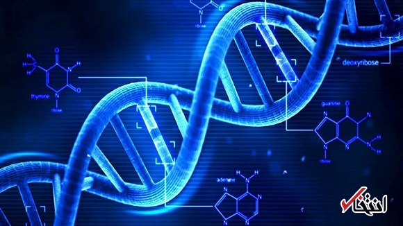 کشف تغییر عجیب و جدید DNA جانوران در شرایط استرس‌زا
