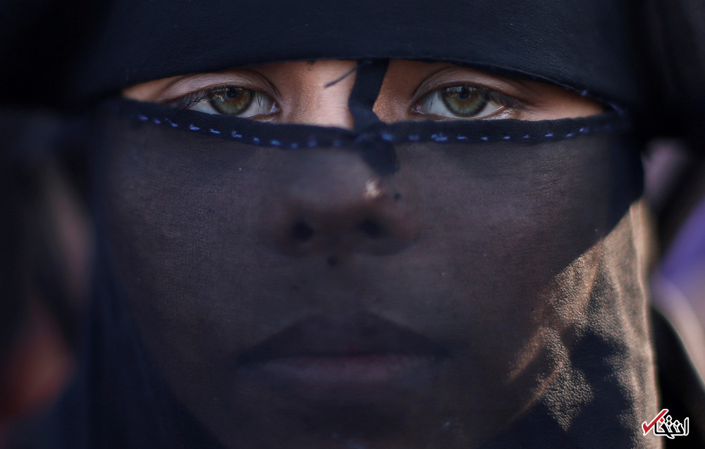 تصاویر : دیدنی‌های امروز جمعه ۵ آبان‌ماه