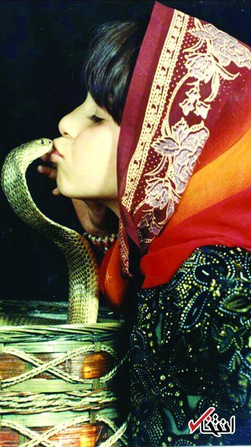 دختری که ۱۱ بار زبان مار کبرا را بوسیده + عکس