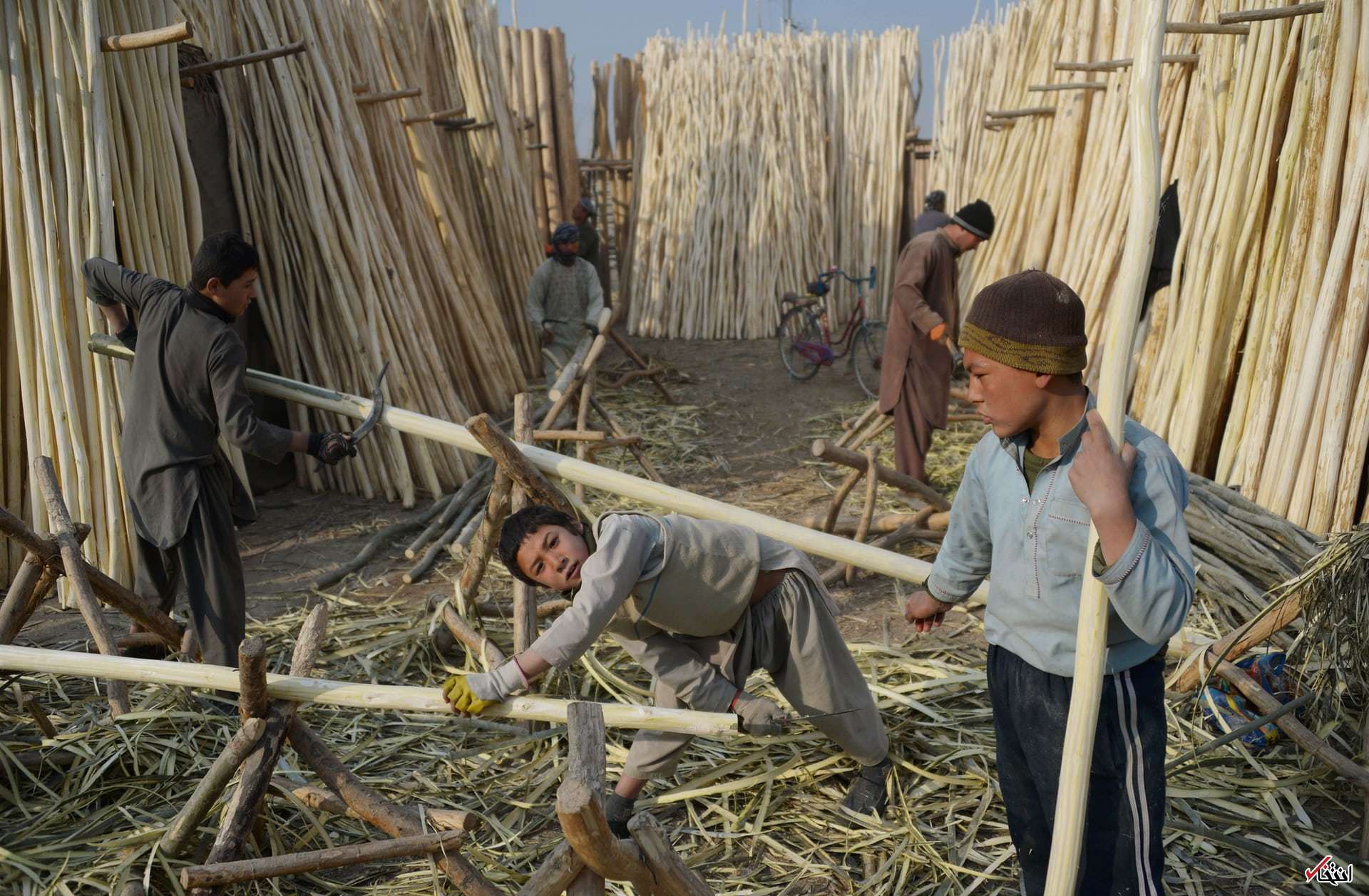 تصاویر : دیدنی‌های امروز دوشنبه ۲۷ آذرماه