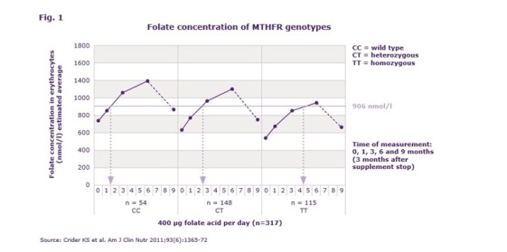 نیمی از بانوان ایرانی نمی توانند فولات را جذب کنند