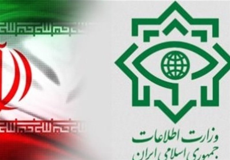 وزارت اطلاعات:‌ ۲۵ نفر از عوامل اخلال در نظام ارزی دستگیر شدند