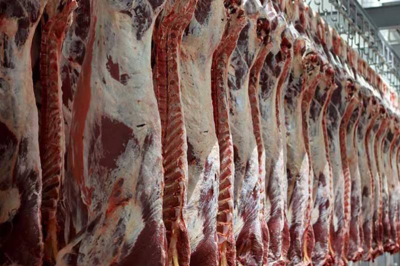 رئیس کل گمرک:137 هزار تن گوشت گرم و منجمد در 11 ماهه امسال وارد کشور شد