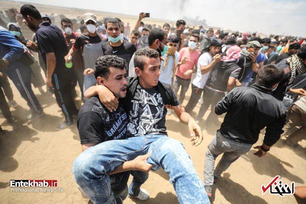 تصاویر : غزه تصاویر : غزه