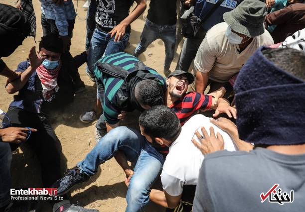 تصاویر : غزه تصاویر : غزه