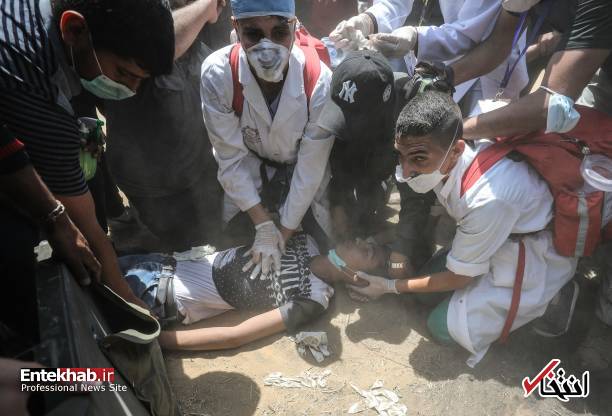 تصاویر : غزه تصاویر : غزه