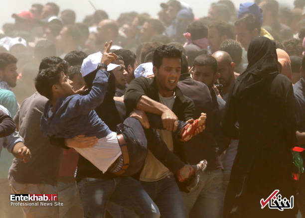 تصاویر : غزه تصاویر : غزه