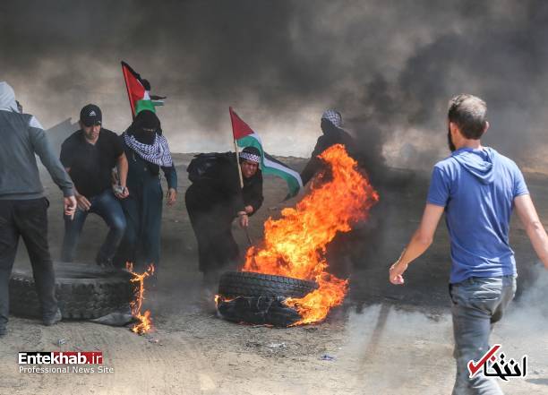 تصاویر : غزه تصاویر : غزه