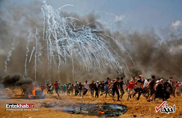 تصاویر : غزه تصاویر : غزه