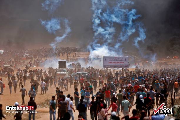 تصاویر : غزه تصاویر : غزه