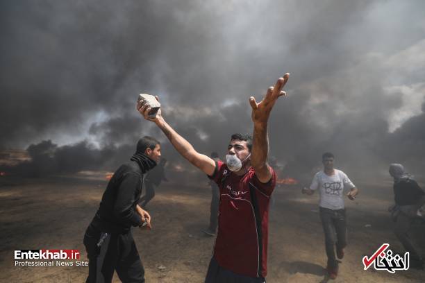 تصاویر : غزه