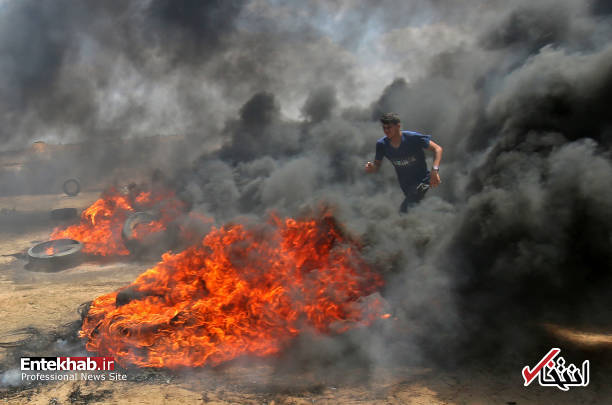 تصاویر : غزه تصاویر : غزه