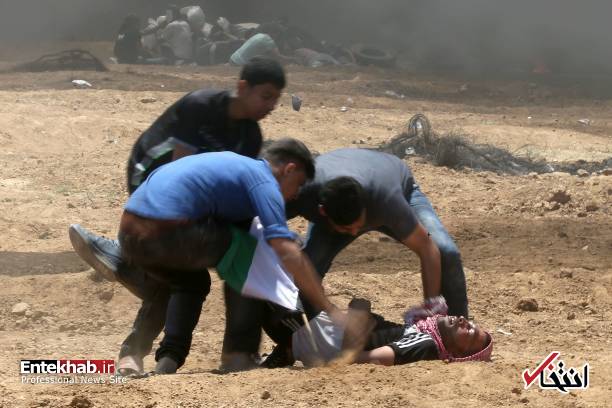 تصاویر : غزه تصاویر : غزه