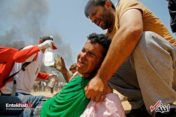 تصاویر : غزه تصاویر : غزه