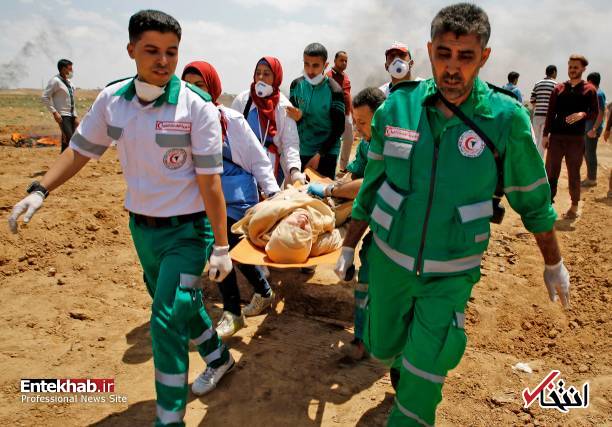 تصاویر : غزه تصاویر : غزه