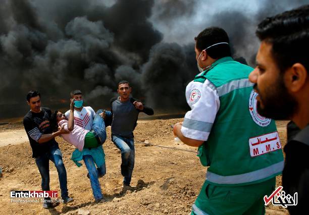 تصاویر : غزه