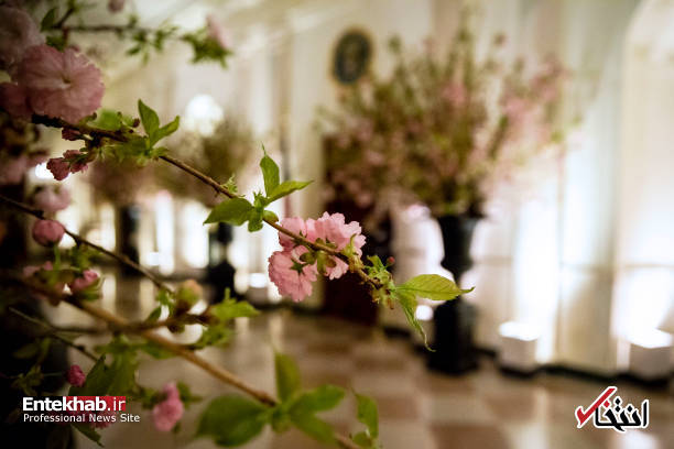 تصاویر : تدارک ملانیا ترامپ برای میزبانی از رییس جمهور فرانسه و همسرش تصاویر : تدارک ملانیا ترامپ برای میزبانی از رییس جمهور فرانسه و همسرش