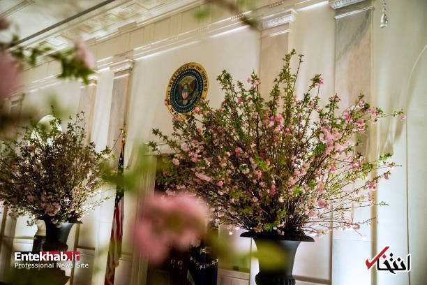 تصاویر : تدارک ملانیا ترامپ برای میزبانی از رییس جمهور فرانسه و همسرش