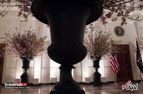 تصاویر : تدارک ملانیا ترامپ برای میزبانی از رییس جمهور فرانسه و همسرش تصاویر : تدارک ملانیا ترامپ برای میزبانی از رییس جمهور فرانسه و همسرش