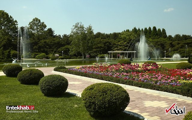 تصاویر : حاشیه‌های دیدار وزیر خارجه روسیه با رهبر کره شمالی