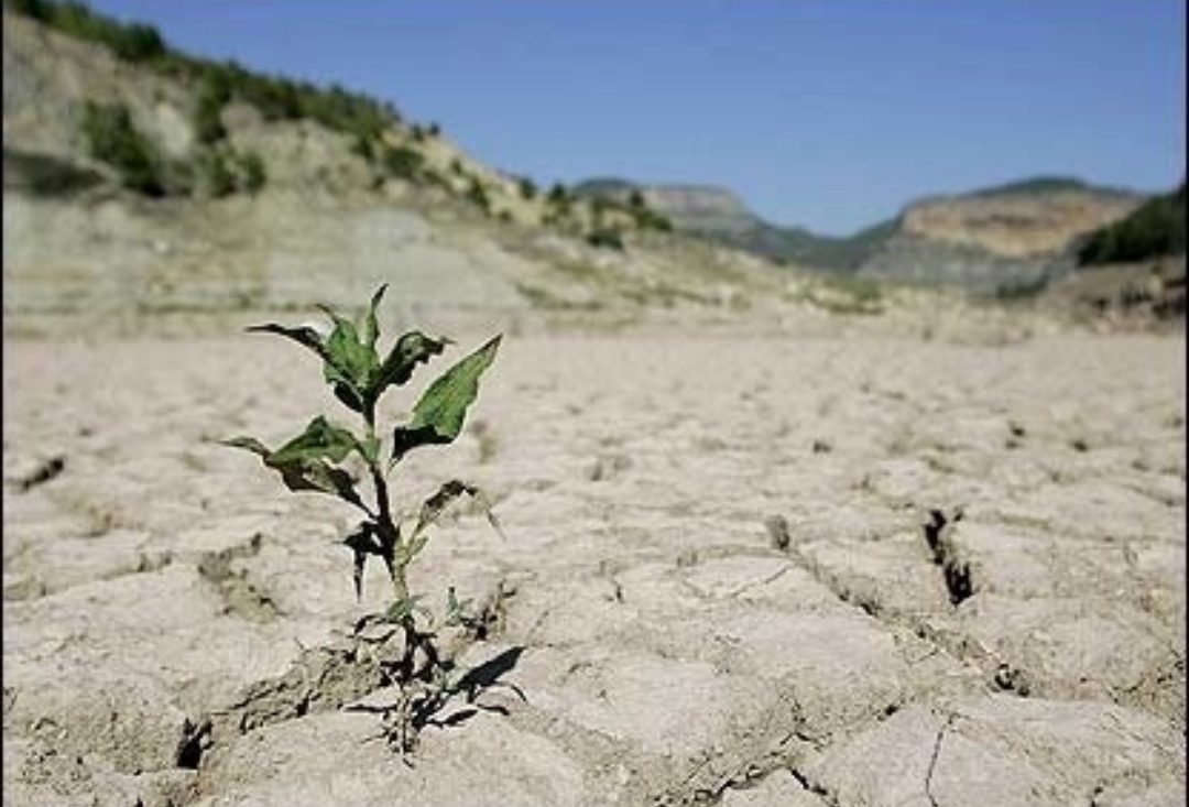 ایران درحال خشک‌شدن است/استان‌های شمالی دچار خشکسالی شده‌اند