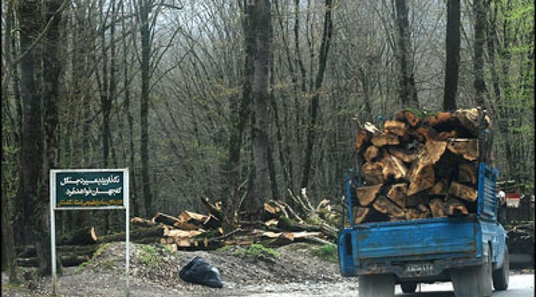 نابودي ۴۳درصدي جنگل‌هاي ايران طي كمتر از ۳۰ سال