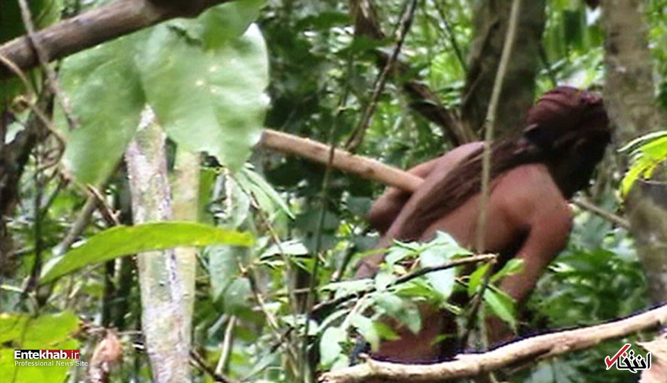 عکس/ آخرین عضو یک قبیله در جنگل آمازون