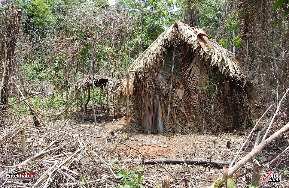 عکس/ آخرین عضو یک قبیله در جنگل آمازون