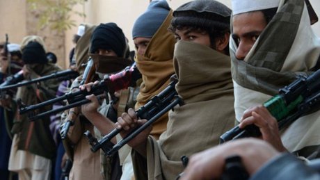 طالبان درصدد اعلام آتش‌بس به مناسبت عید قربان