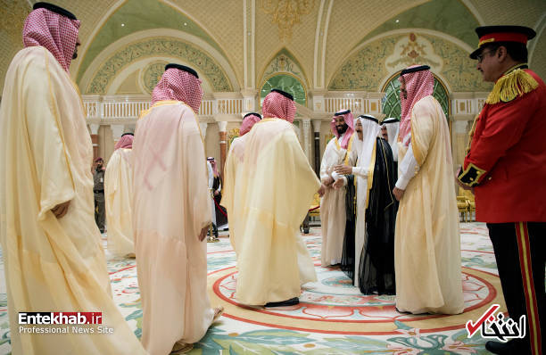 تصاویر :